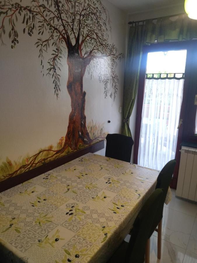 Zelena Oaza Apartment Novigrad  Ngoại thất bức ảnh