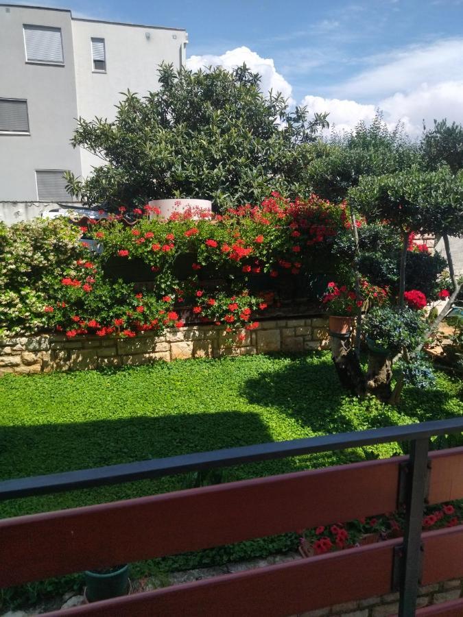 Zelena Oaza Apartment Novigrad  Ngoại thất bức ảnh