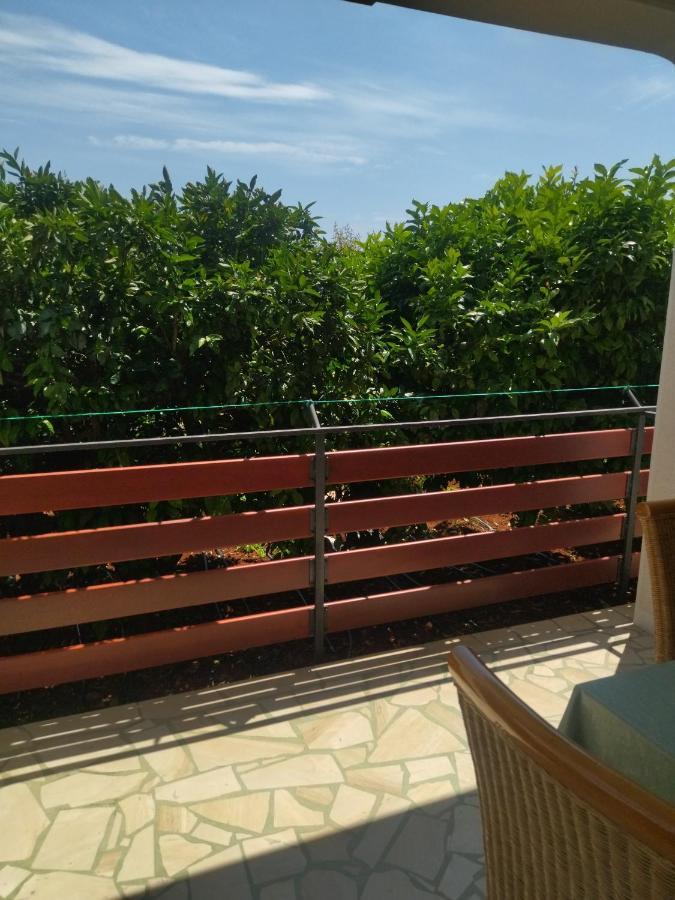Zelena Oaza Apartment Novigrad  Ngoại thất bức ảnh