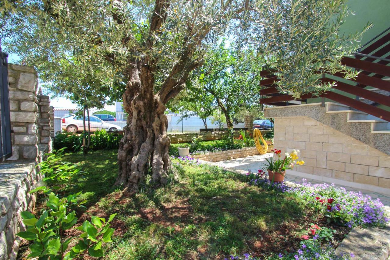 Zelena Oaza Apartment Novigrad  Ngoại thất bức ảnh